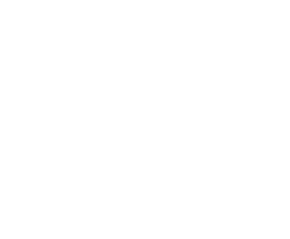 VOX Screen App Logo